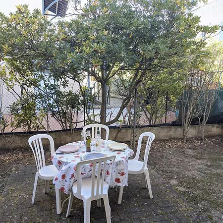 Appartement Confort Au Centre De Avec Parking Prive - Fr-1-387-224