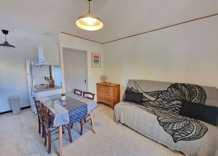 Confort Au Centre De Avec Parking Prive - Fr-1-387-224 Apartment Marseillan (Herault)