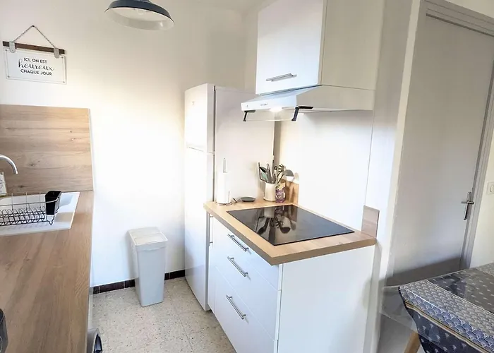 Apartment Confort Au Centre De Avec Parking Prive - Fr-1-387-224 Marseillan (Herault)